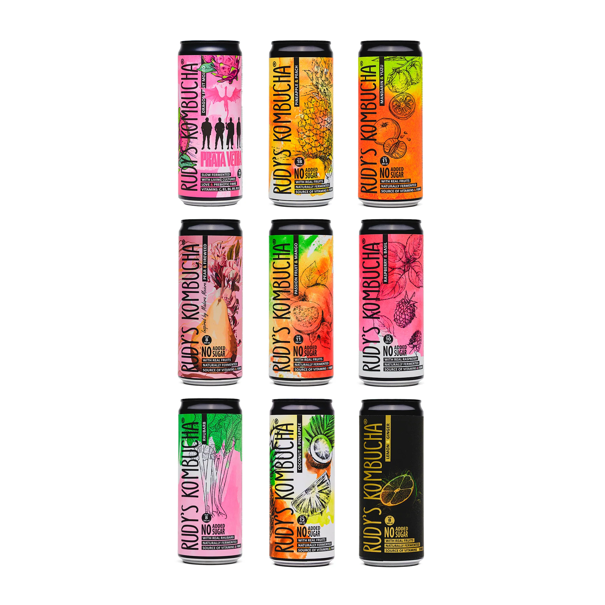 Kambučios Rudy's rinkinys, įv. skonių, 24 x 330 ml - Image 2